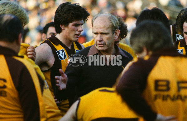 VFL 1980's - Hawthorn Hawks - 23598