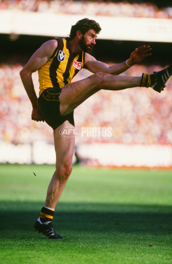 VFL 1980's - Hawthorn Hawks - 23603