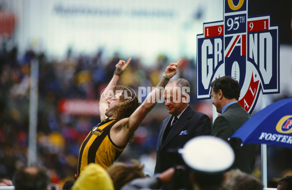AFL 1991 Grand Final - Hawthorn v West Coast - 23586