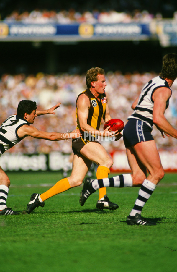 VFL 1989 Grand Final - Hawthorn v Geelong - 23563