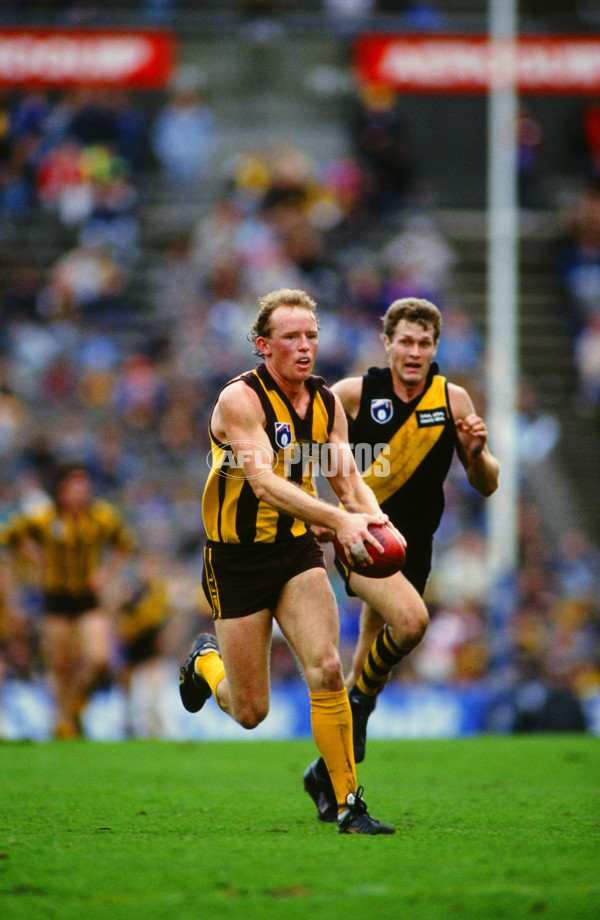 AFL 1991 Round 18 - Hawthorn v Richmond - 23568