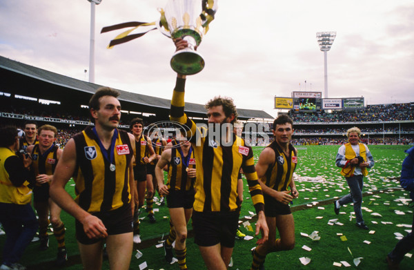 VFL 1988 Grand Final - Hawthorn v Melbourne - 23604
