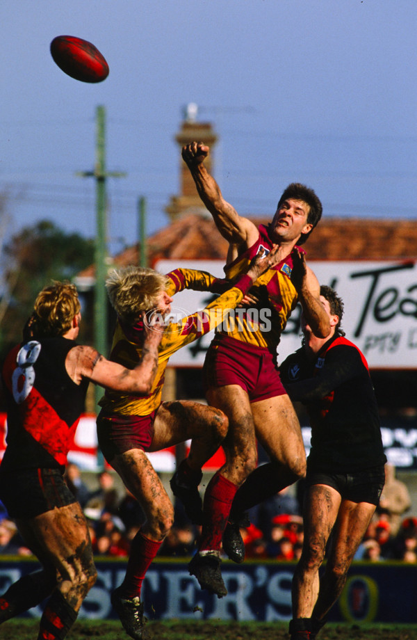 VFL 1989 - Essendon v Brisbane - 23634