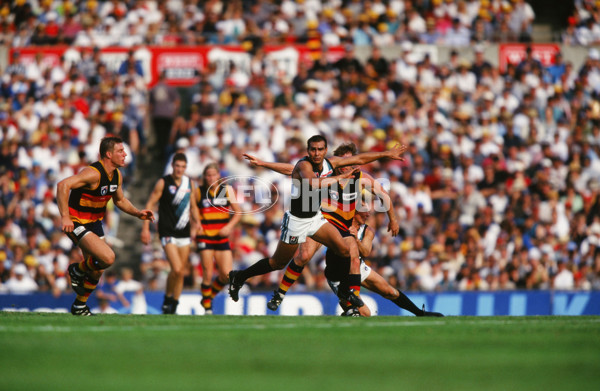 AFL 1997 Round 4 - Port Adelaide v Adelaide - 24298