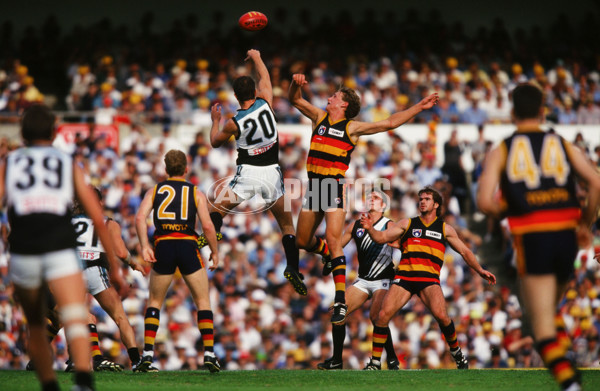AFL 1997 Round 4 - Port Adelaide v Adelaide - 24297