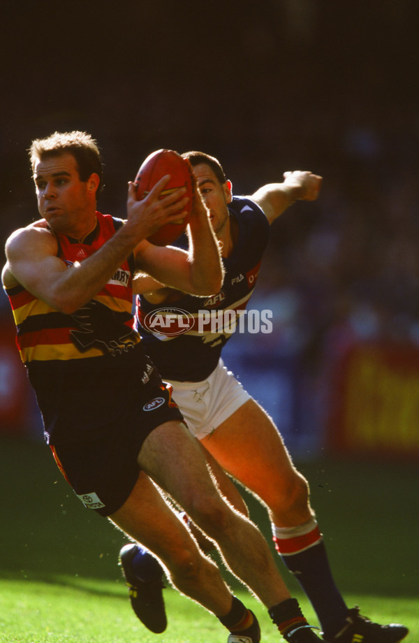 AFL 2000 Round 16 - Western Bulldogs v Adelaide - 24432