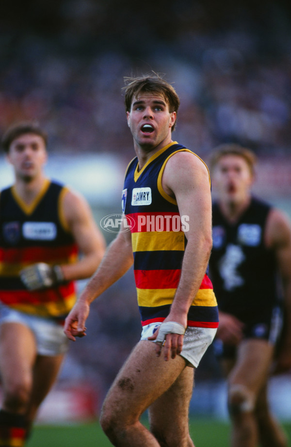 AFL 1995 Round 15 - Carlton v Adelaide - 24431