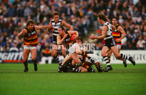AFL 1997 Round 13 - Adelaide v Geelong - 24636