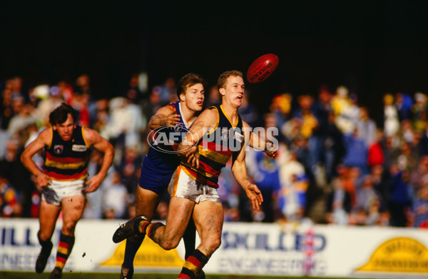 AFL 1991 Round 21 - Footscray v Adelaide - 24874