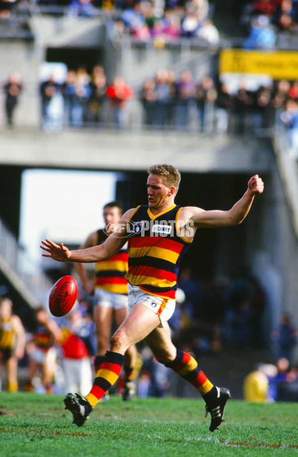 AFL 1993 Round 9 - Adelaide v Essendon - 24944