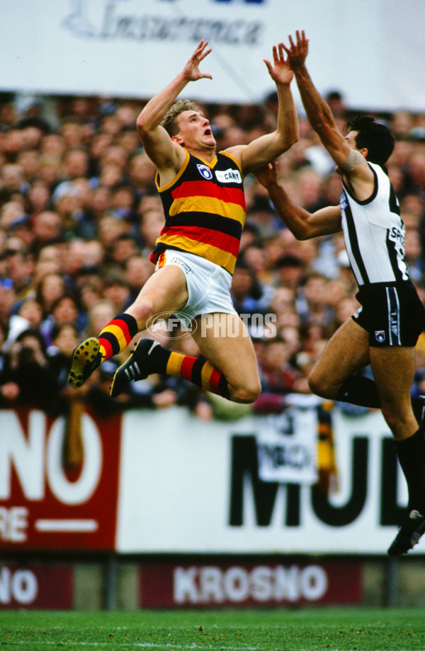AFL 1994 Round 11 - Adelaide v Collingwood - 24885