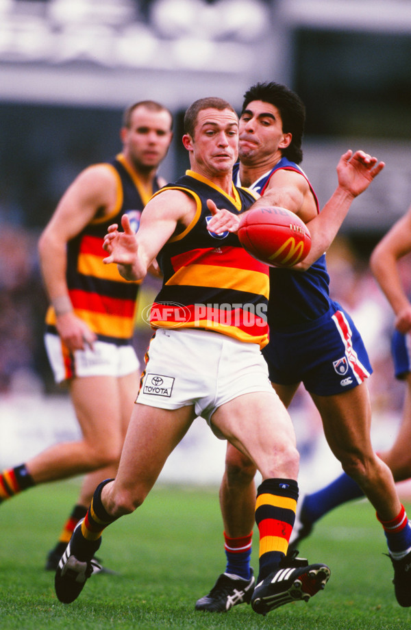 AFL 1998 Round 11 - Western Bulldogs v Adelaide - 24925