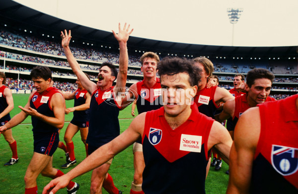 AFL 1991 - Melbourne Demons - 25685