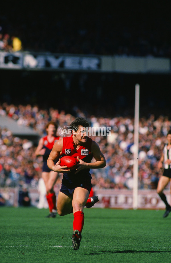 VFL 1988 - Collingwood v Melbourne Demons - 25744