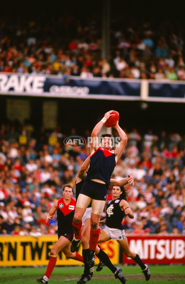 VFL 1989 - Melbourne v Carlton - 25788