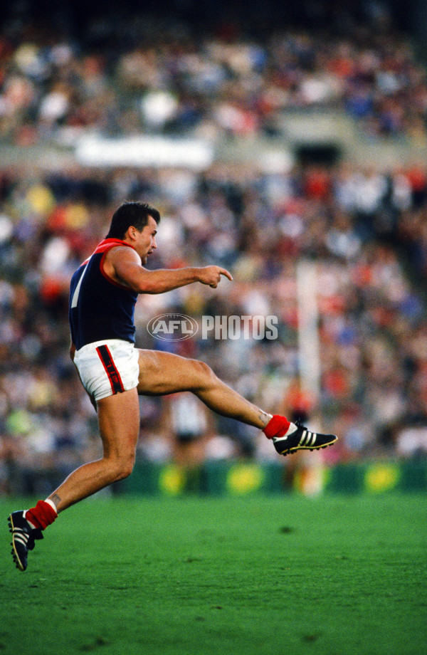 AFL 1991 - Melbourne Demons - 26008
