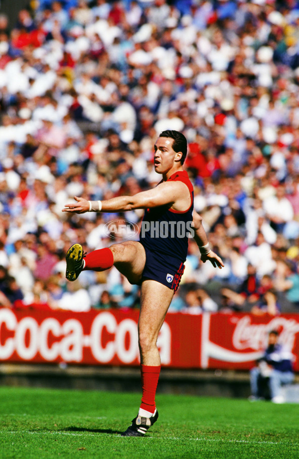 AFL 1990's - Melbourne Demons - 26136