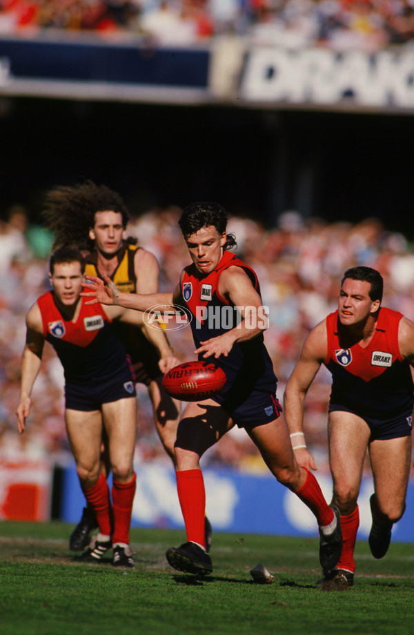 AFL 1991 - Melbourne v Hawthorn - 26097