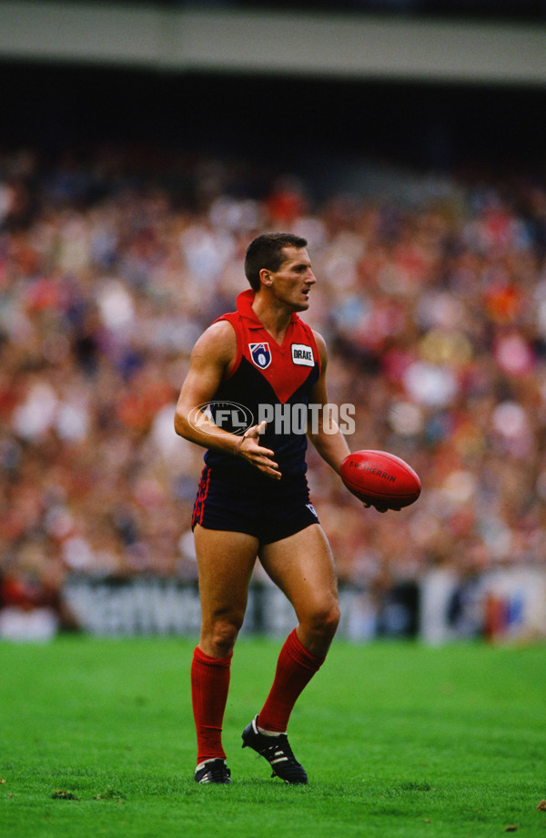 AFL 1991 - Melbourne Demons - 26102