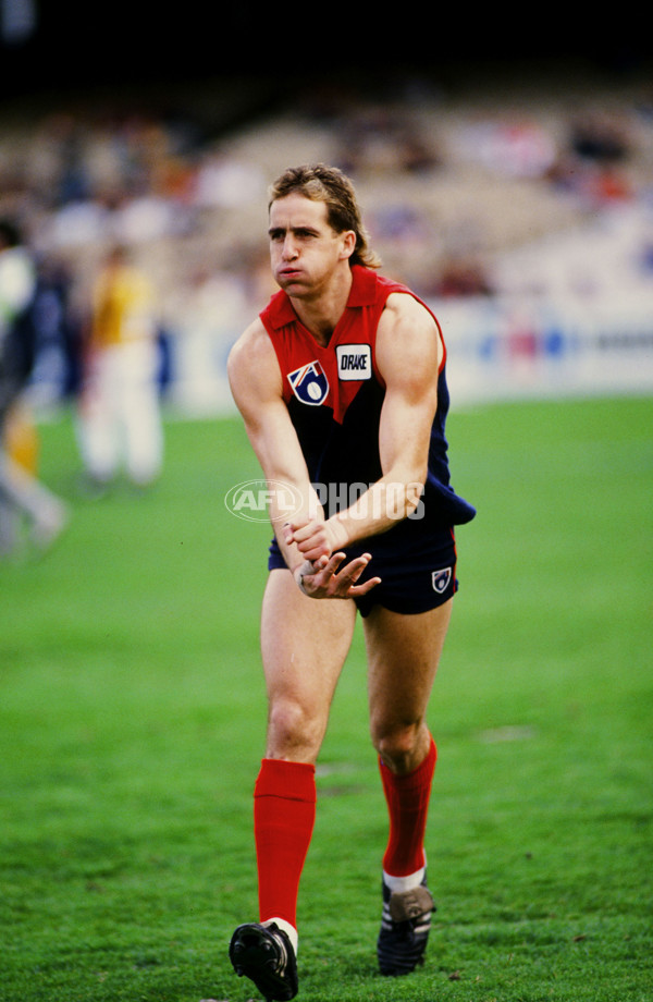 AFL 1991 - Melbourne Demons - 26235