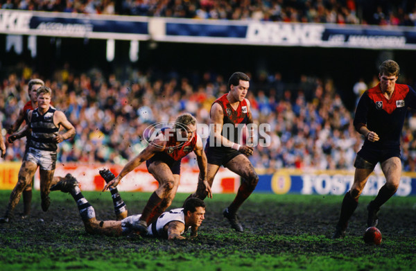 VFL 1989 - Melbourne v Geelong - 26165