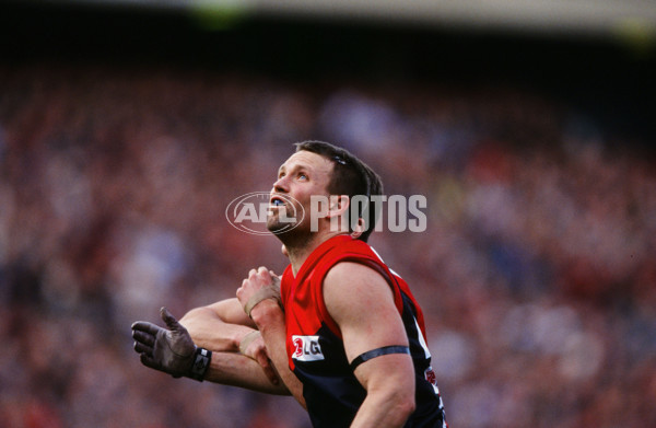 AFL 2000 Grand Final - Essendon v Melbourne - 26157