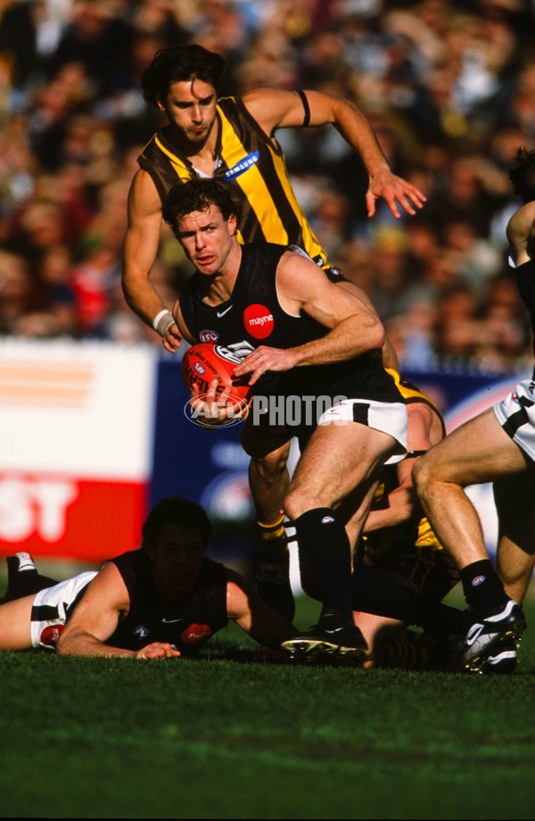 AFL 2001 Rd 17 - Hawthorn v Carlton - 26287