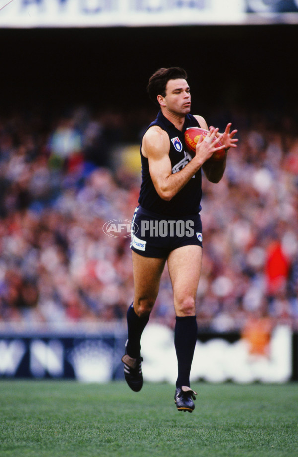 AFL 1995 Round 7 - Essendon v Carlton - 26520