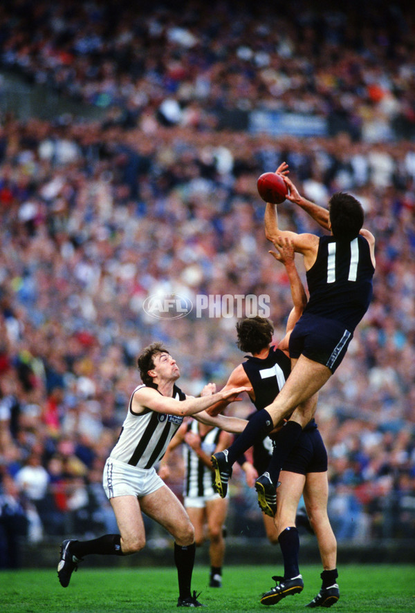 AFL 1992 Round 23 - Carlton v Collingwood - 26518
