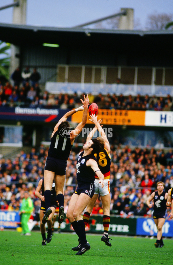 AFL 1993 Round 12 - Carlton v Adelaide - 26606