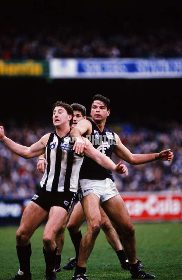 AFL 1995 Round 16 - Collingwood v Carlton - 26611