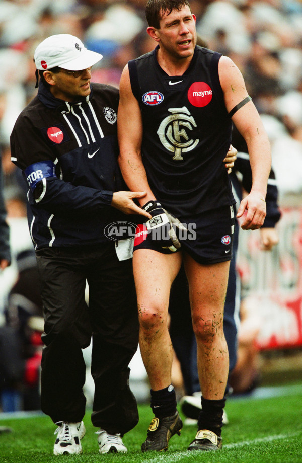 AFL 2001 Round 22 - Carlton v Geelong - 26944