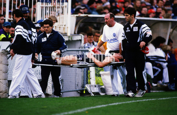 AFL 1995 - Carlton v Geelong - 26935