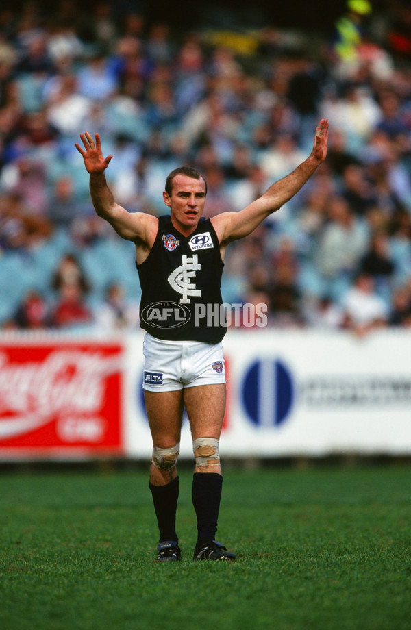 AFL 1996 Round 19 - Melbourne v Carlton - 27057