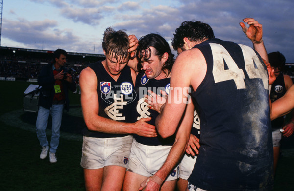 AFL 1992 Round 20 - Carlton Blues - 27113