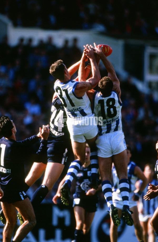 AFL 1999 Grand Final - Carlton v Kangaroos - 28081