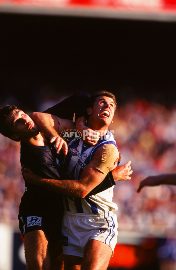 AFL 1999 Grand Final - Carlton v Kangaroos - 28096