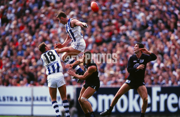 AFL 1999 Grand Final - Carlton v Kangaroos - 28136