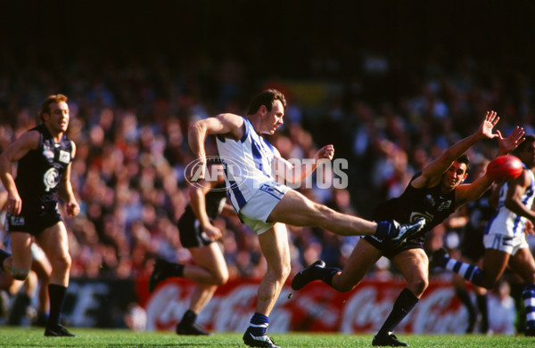AFL 1999 Grand Final - Carlton v Kangaroos - 28117