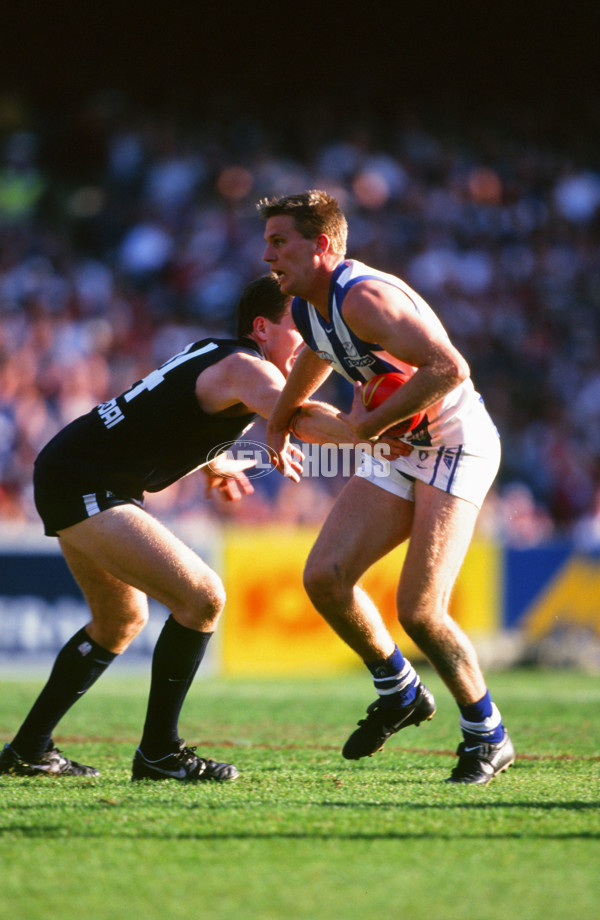 AFL 1999 Grand Final - Carlton v Kangaroos - 28169