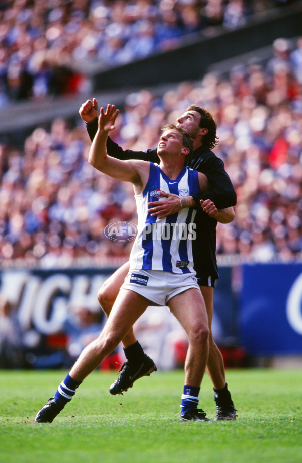 AFL 1999 Grand Final - Carlton v Kangaroos - 28161