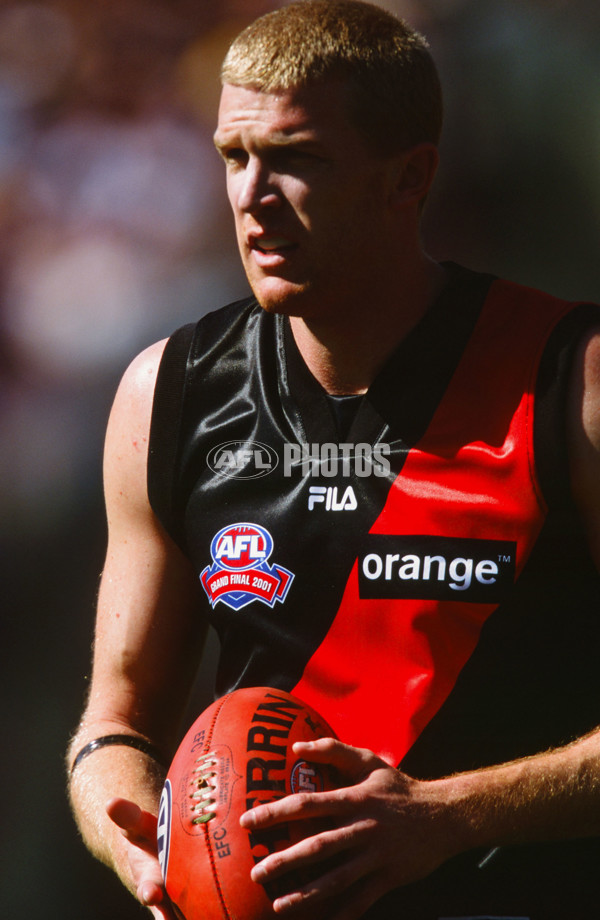 AFL 2001 Grand Final - Essendon v Brisbane - 28257