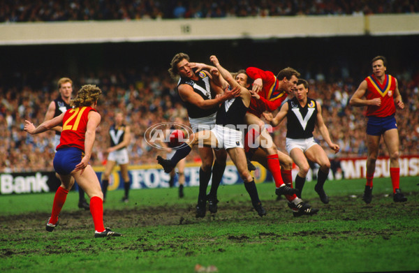 VFL 1989 State of Origin Match - Victoria v South Australia - 28316