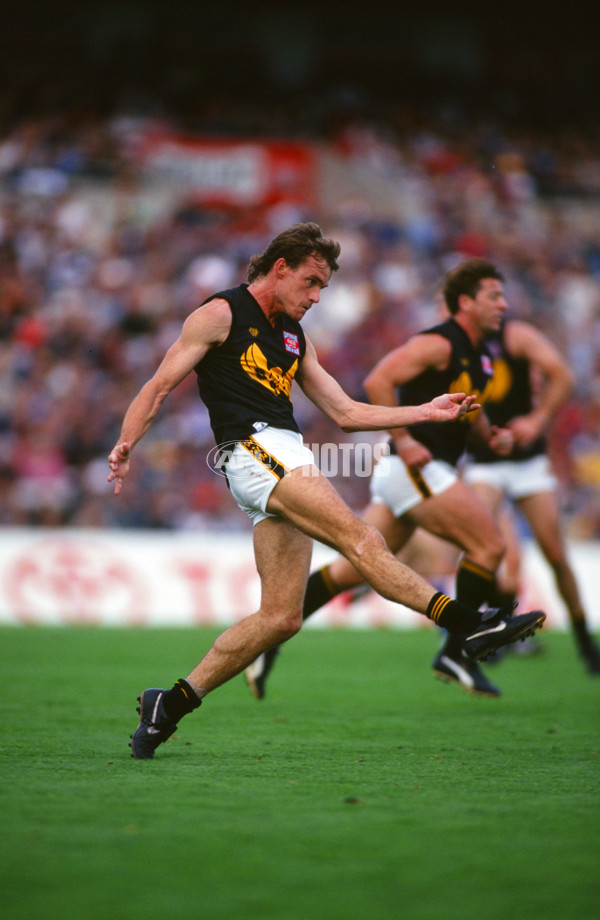 AFL 1996 State of Origin Match - South Australia v Western Australia - 28373