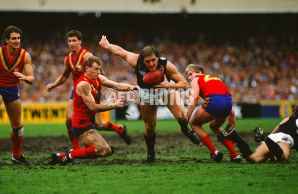 VFL 1989 State of Origin Match - Victoria v South Australia - 28344