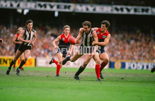 VFL 1988 - Collingwood v Melbourne - 28434