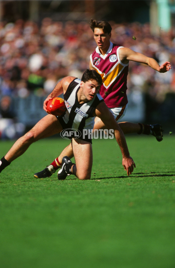 AFL 1996 Round 22 - Collingwood v Brisbane - 28449