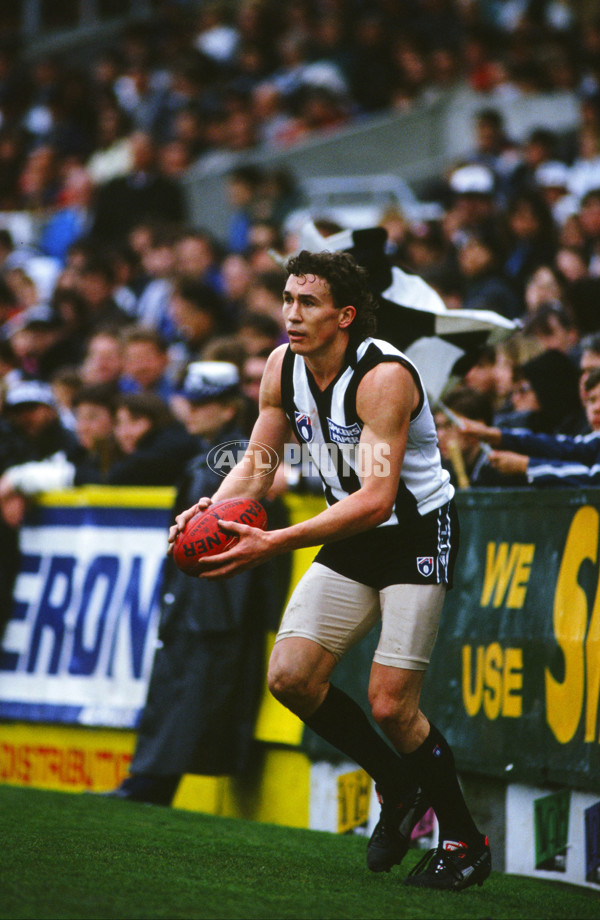 AFL 1992 Round 24 - Collingwood Magpies - 28418