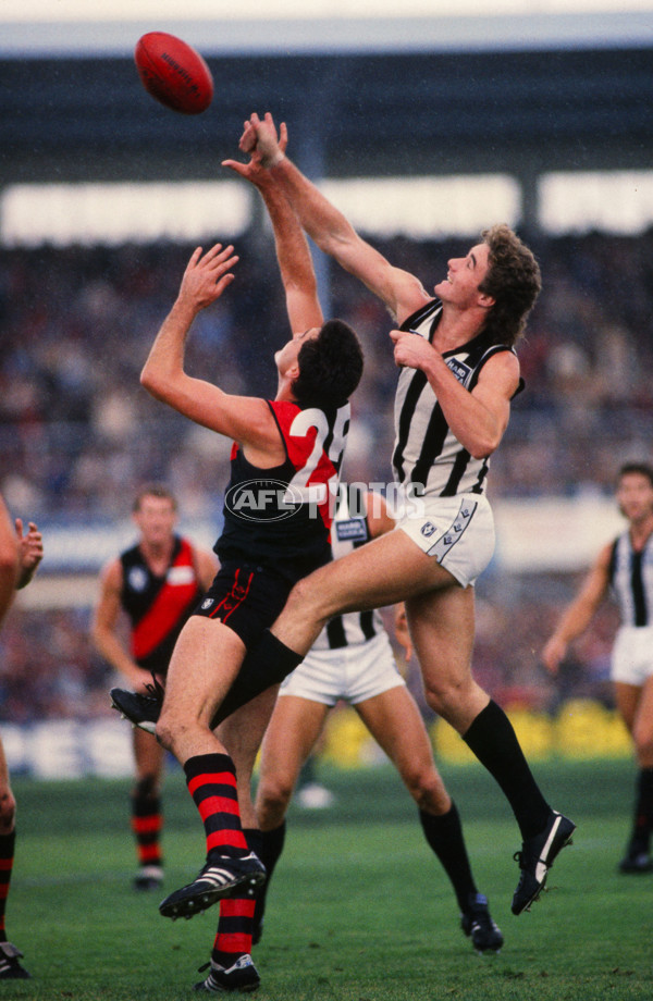 VFL 1988 - Essendon v Collingwood - 28456