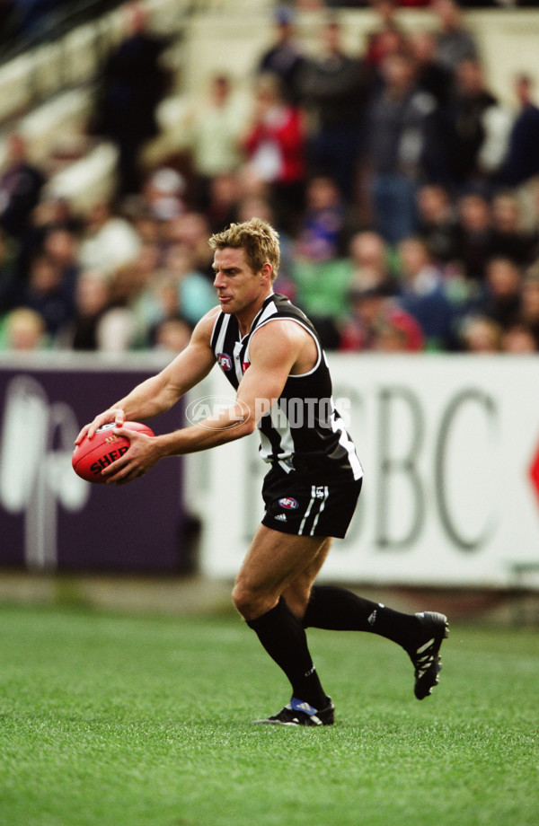 AFL 2001 Round 19 - Collingwood v Western Bulldogs - 28554
